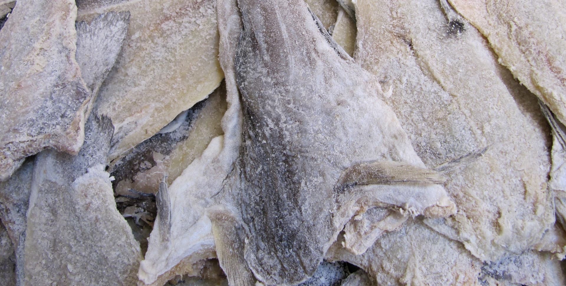 Contacta con nuestros expertos en bacalao