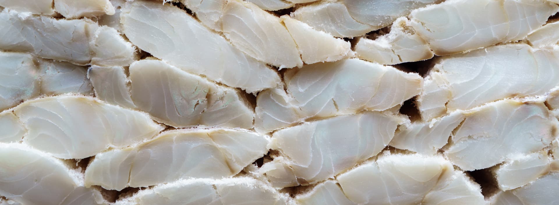 ¡Visita nuestra tienda online de bacalao!